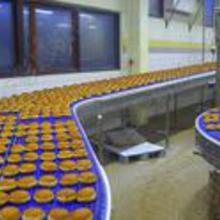 橡膠食品輸送帶 價格、批發渠道與優質廠家全解析