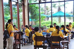 珠海麥田咖啡 以精細化管理深耕餐飲藍海，創(chuàng)新驅動品牌發(fā)展